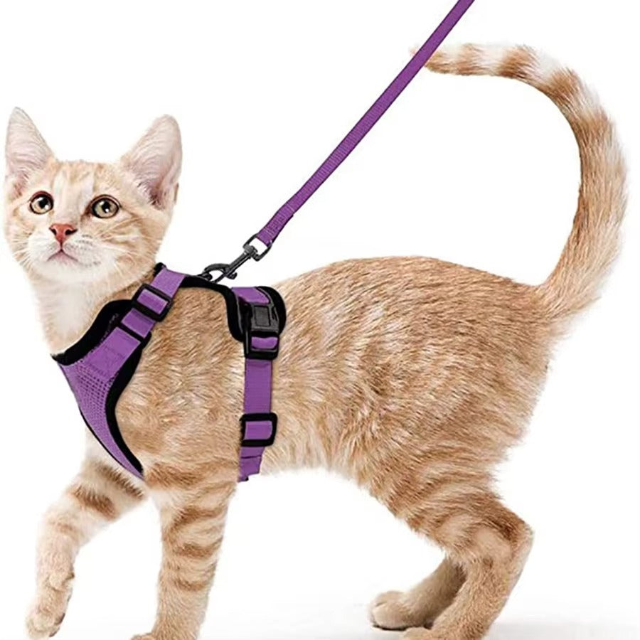 SafeStep Cat Harness
